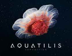 Фондовый рынок, Daily history за 5 августа 2025 г.