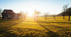 Фондовый рынок, Daily history за 2 декабря 2025 г.